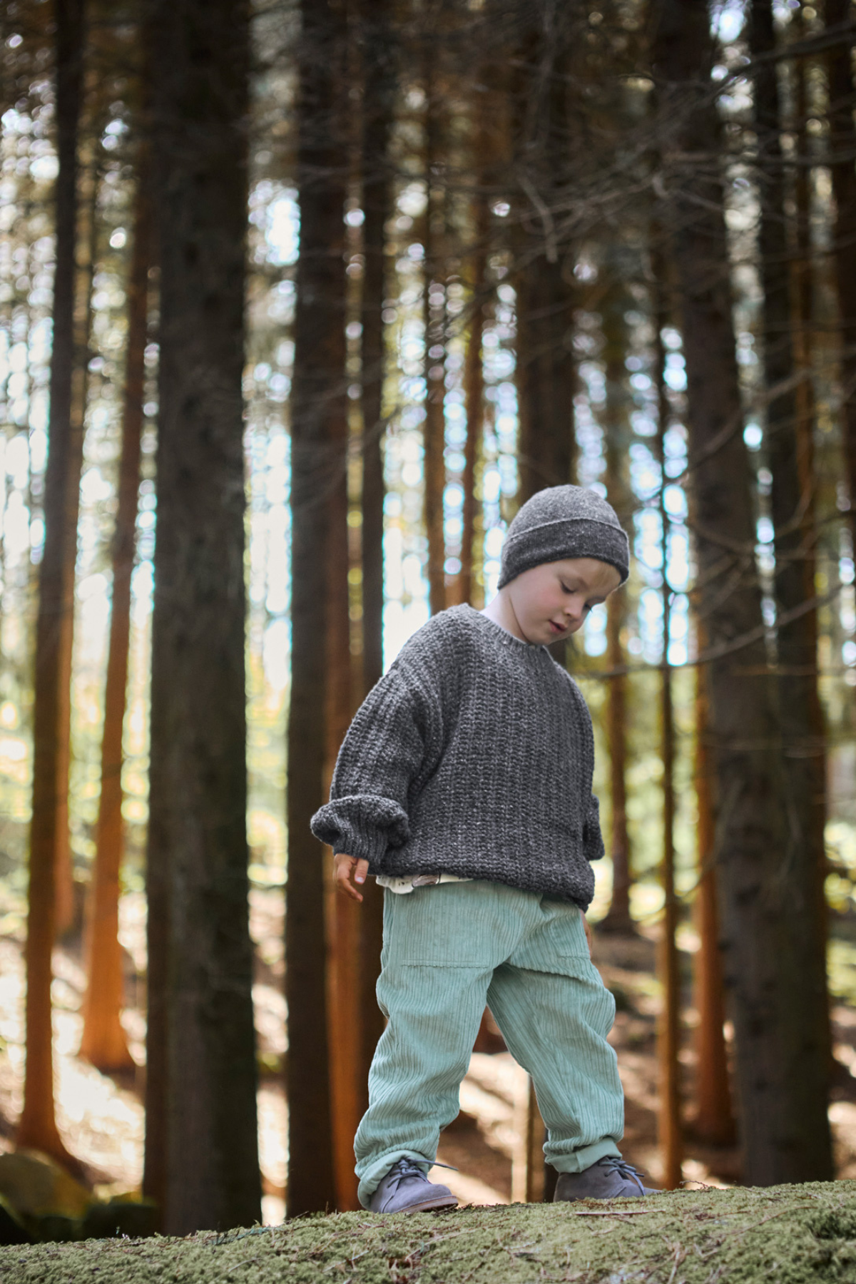 Strickpullover | Grafite