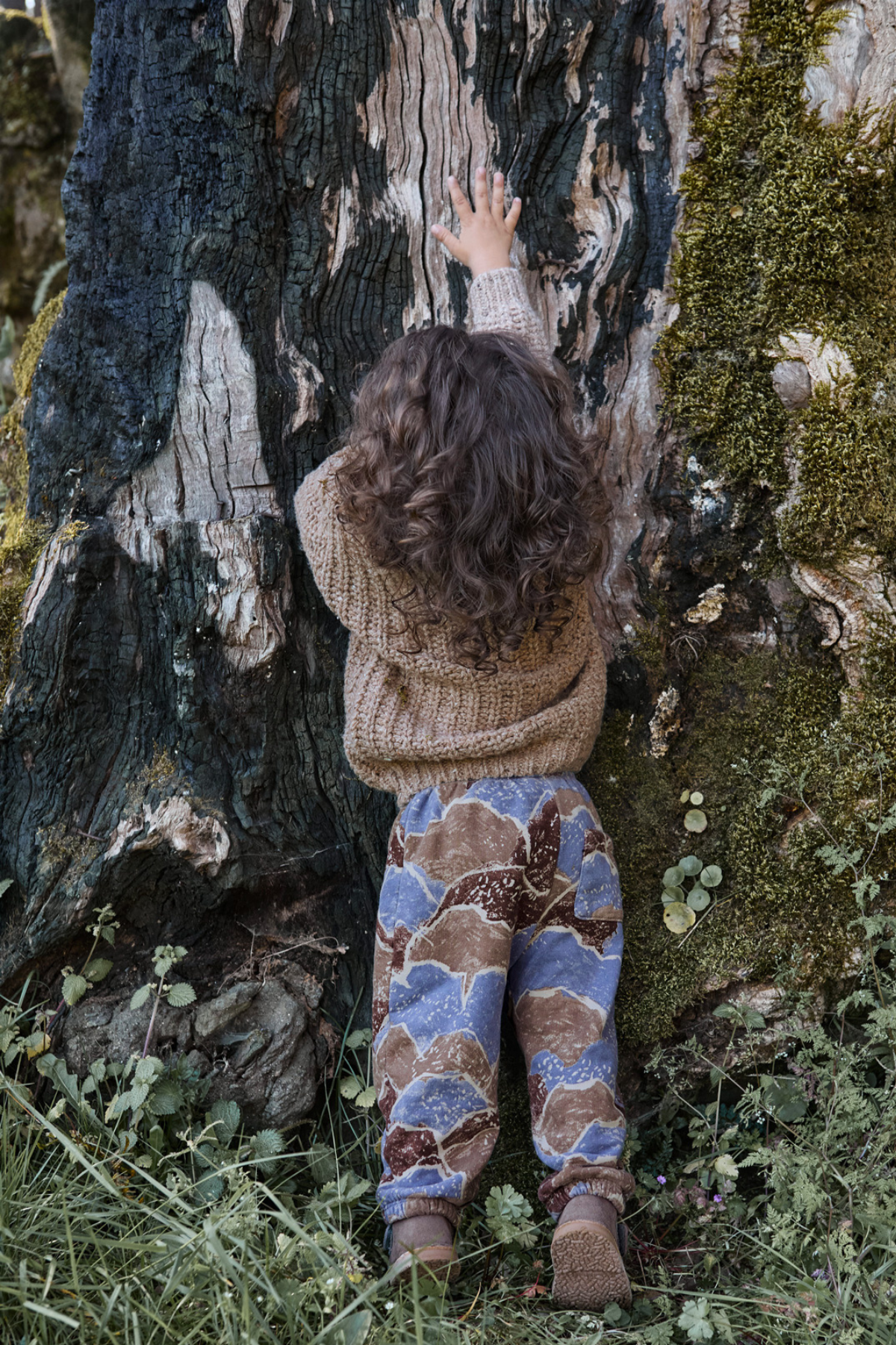 Strickpullover | Ancestral