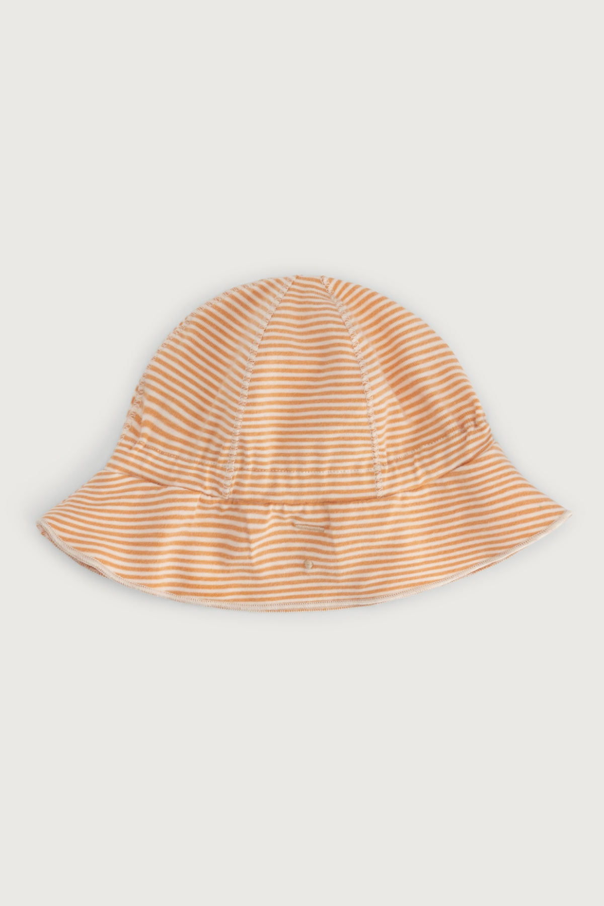 Baby Sonnenhut | verschiedene Farben