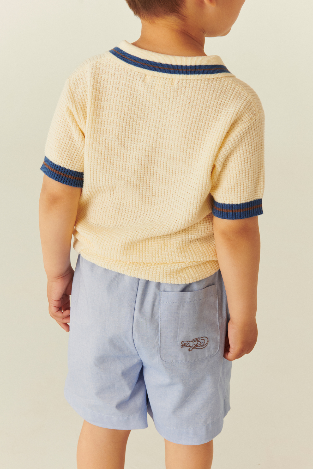 Gestricktes Polo | Cream/Blue/Brown