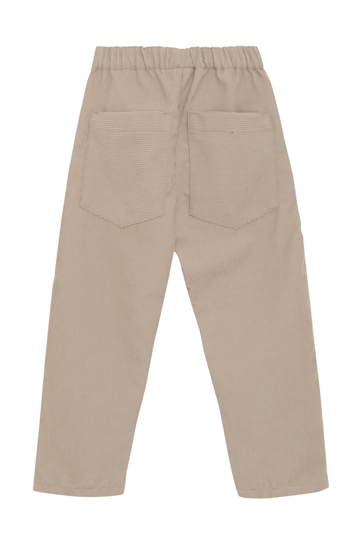 Cordhose | Fungi