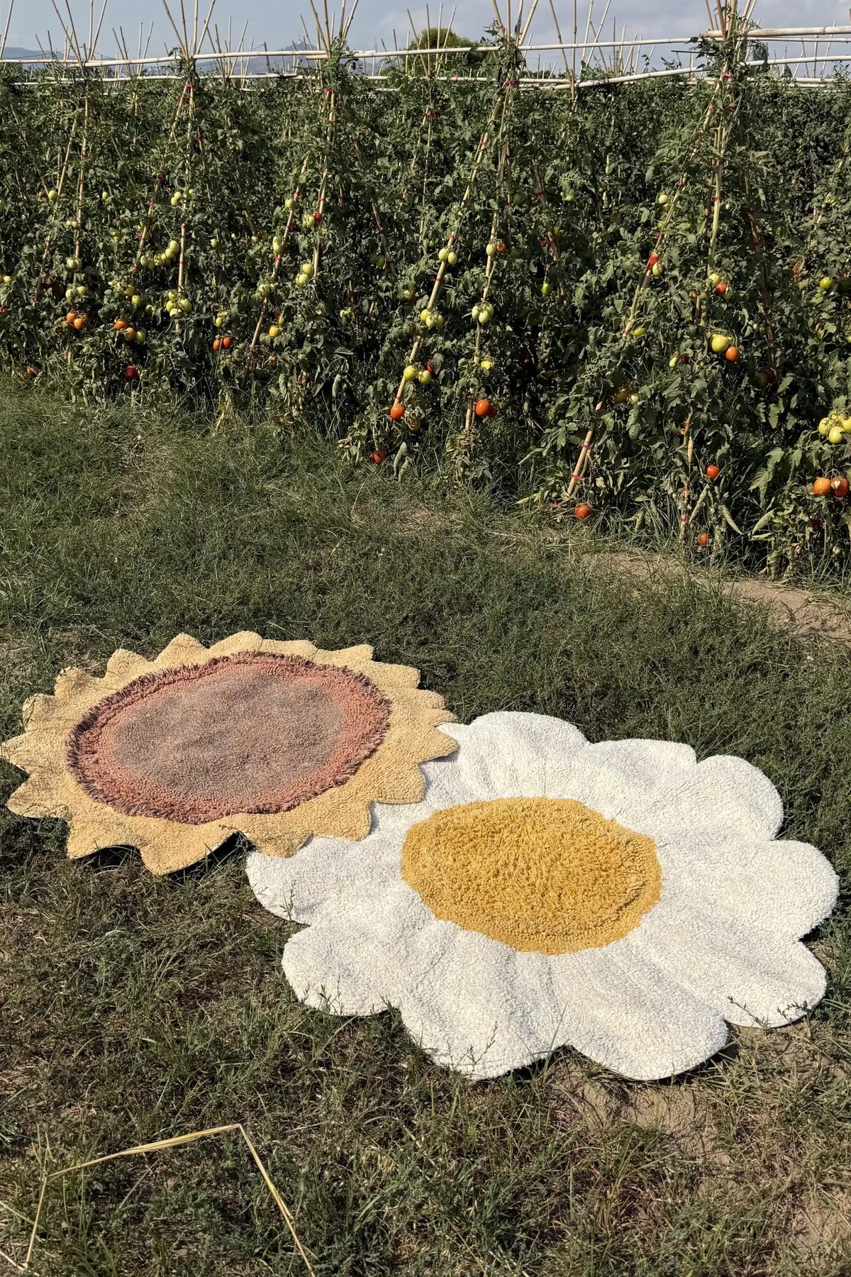 Waschbarer Teppich White Daisy